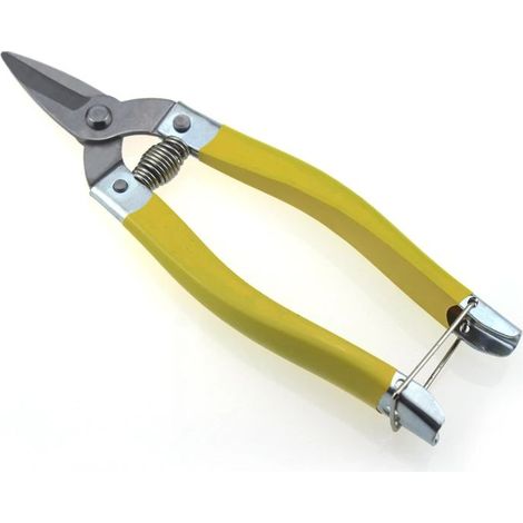 Sécateur, outils manuels de jardinage et d'entretien des vergers, ciseaux à bonsaï, sécateur, tondeuse à gazon professionnelle, 1 pièce (petite taille)