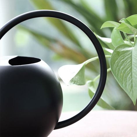 Arrosoir à long bec en acier inoxydable pour fleurs, pot d'arrosage domestique et de jardinage, arrosoir sphérique portatif en métal (1/5)