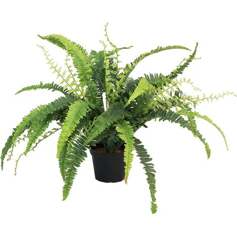 Fougère de Boston artificielle en pot, H 41 cm, D 40 cm - dimhaut: H 41 cm (1/3)