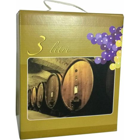 15 x SCATOLA P/SACCA BAG 3 L COLORATO E MANICO