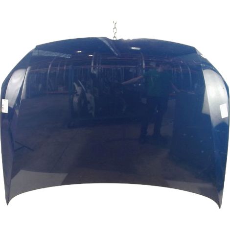 [PRODUIT D'OCCASION] Capot VOLKSWAGEN Polo ♻️ Ref Oe. 6r0823031g - Garantie à vie (1/3)