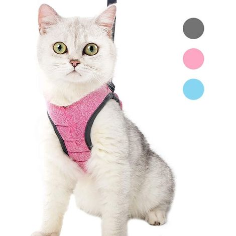 Harnais pour chat réglable et confortable avec laisse anti-évasion ensemble de promenade pour chaton et petit chat (1/5)