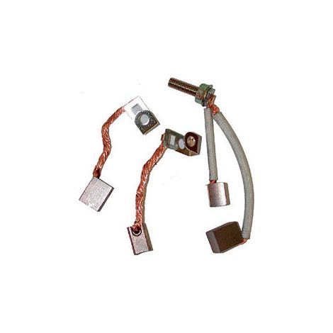 Kit jeu de charbons BRIGGS ET STRATTON 490311