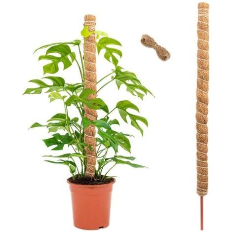 BUNTHAUS tuteurs pour plantes Monstera, tuteurs en mousse et fibre de coco, 120 cm, bâton de support pour plantes grimpantes