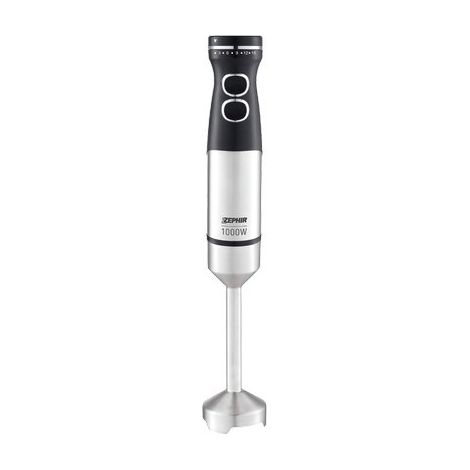FRULLATORE A IMMERSIONE ACCIAIO ZHC104 ZEPHIR - VOLT 230 WATT 1000 2 VELOCITA