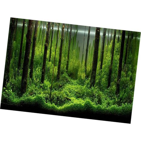 Papier de décoration d'arrière-plan d'affiche de fond de réservoir de forêt sous-marine adhésif en PVC (6141 cm) (1/5)