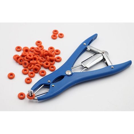 Abrazadera elástica de castración de acero inoxidable para ganado vacuno, porcino y ovino, cinturón, 100 anillos de goma, 21,5 cm, azul (1/4)