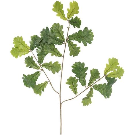Ramo di foglie di quercia 60 cm (1/3)