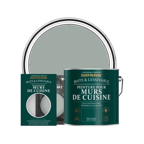 Peinture pour Murs de Cuisine, Finition Mate - Gris Urbain (1/3)