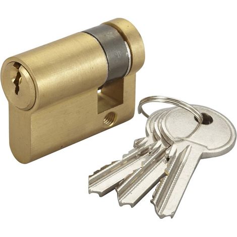 Demi Cylindre de porte 10x30 mm Barillet de serrure BRICARD 3 clés