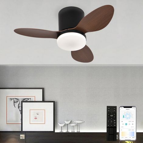 Ventilateur de plafond avec lumière, télécommande/contrôle par application, 6 vitesses de ventilation, minuterie, gradation continue (63 cm) (1/5)