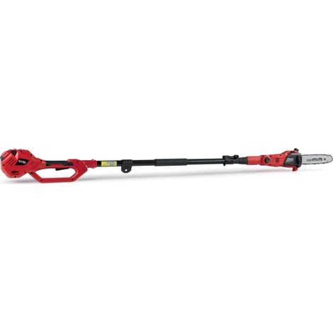 potatore a batteria con asta telescopica r3s - blue bird