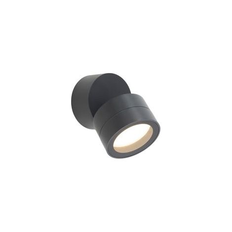 Mantra Foco de pared o techo orientable de 0 a 90º SALER gris oscuro, IP65 1LxGX53 (1/4)