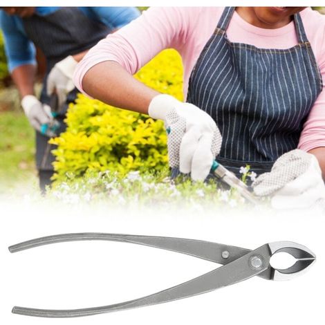 Attrezzi da giardinaggio per la creazione di bonsai: cesoie da potatura a punta obliqua e forbici da innesto-Crezuo