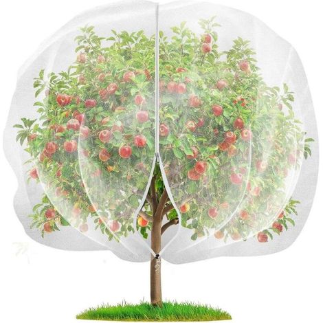 Filet de jardin en maille pour plantes, arbres fruitiers, cage à fruits, filet de protection contre les insectes et les oiseaux avec fermeture éclair pour protéger les plantes, les fruits, les fleurs (1/4)