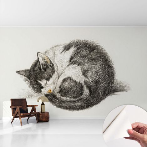 Papier peint autocollant adhésif installation rapide du papier peint durable et résistante Charmant chaton 416x254 cm (1/5)
