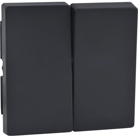 Schneider double clé Serie Elegance  Anthracite