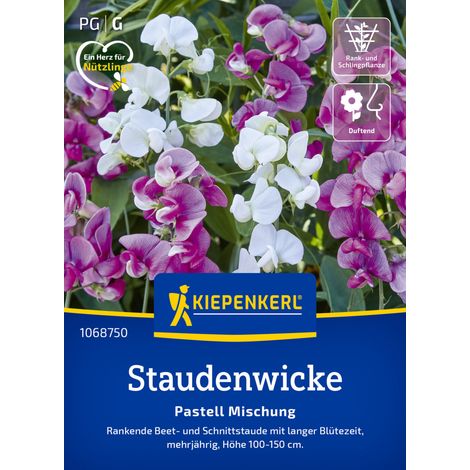 Kiepenkerl Blumensamen Staudenwicken Pastell Mischung für ca. 15 Pflanzen (1/2)