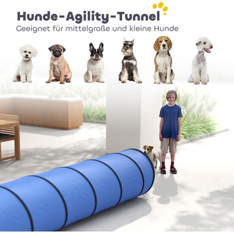 Tunnel d'agilité pour chien 300x50 cm avec 4 piquets de fixation, housse de rangement, couloir de jeu bleu pour chiens petits et moyens