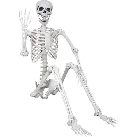 Squelette Grandeur Nature pour Halloween, 180 cm, Squelette Entier positionnable avec articulations Mobiles, 1pc (1/5)
