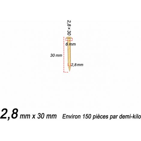 Clou rond en laiton doré brillant 2,8 × 30 mm pour meuble 2.8 30 3 × 2,8 × 3 cm 250 g – Livraison gratuite