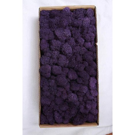violeta Dcoration Murale En Mousse Prserve Vritable Mousse Prserve Aucun Entretien Requis Mousse Naturelle Prserve Pour La Maison, Les Ftes Mural