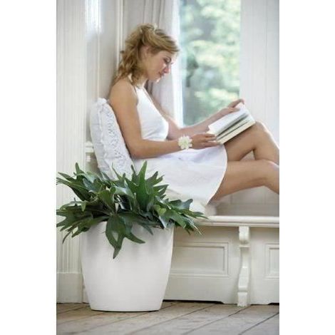 Pot De Fleurs Elho Brussels Rond Roues Ø40cm Blanc (1/5)