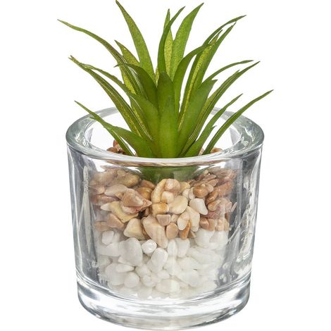 Plante grasse artificielle Pot en verre D 6,5 x H 10 cm - Atmosphera (1/5)