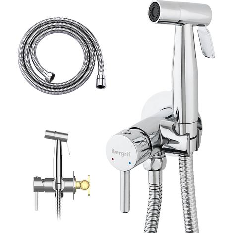 robinet WC et bidet argenté avec douchette (1/5)