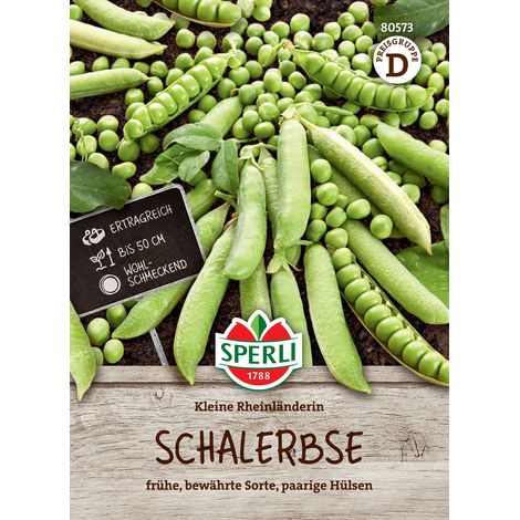 Sperli Schalerbsen Kleine Rheinländerin - Gemüsesamen (1/2)