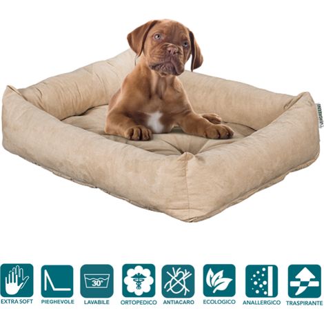EVERGREENWEB - Letto per Cani 45x65 cm taglia Piccola, Imbottitura in Schiuma Waterfoam Morbido Lavabile in Lavatrice, Cuccia da Interno con Cuscino Sfoderabile, Materasso per tutti Animali Domestici (1/5)