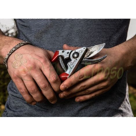 Felco 8 - Tijeras de poda, corte de 25 mm