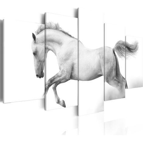 Quadro - Cavallo: passione e liberta' - 100x50 (1/4)
