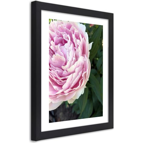 Quadro con cornice, Bella peonia rosa - 40x60 (1/5)