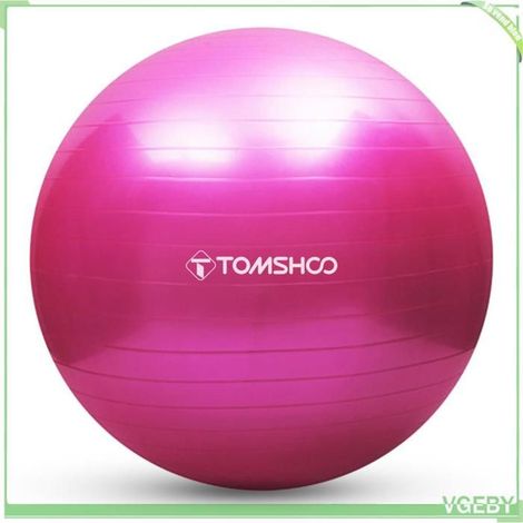 Balle de yoga - FAFEICY - 55 cm - Anti-éclatement 150 kg - PVC 2 mm - Pompe incluse (1/5)