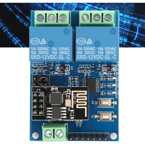 Relais WiFi double canal ESP8266 12 V pour maison connectée IoT, application mobile Android et commande à distance (1/5)