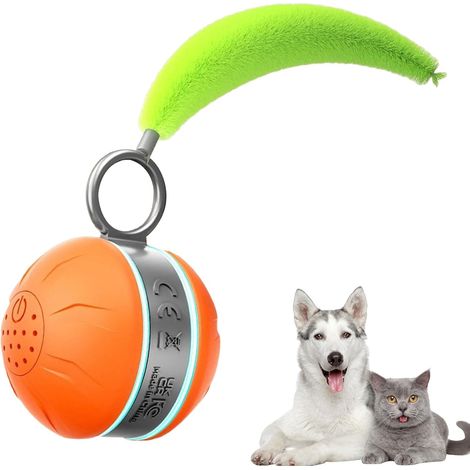 Qui Bouge pour Chien Balle Intelligente pour Chien Jeu (1/5)