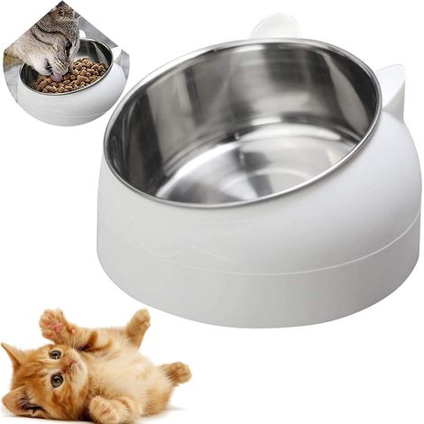 Schräger Edelstahl-Futternapf für Katzen und Hunde – rutschfester Napf für Welpen, Hamster, Kaninchen und Kleintiere (1/5)