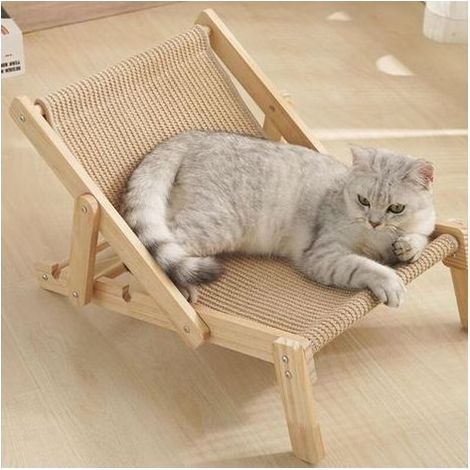 Chaise Lounge Griffoir pour Chat - Griffoir Réglable pour Chat - Accessoire