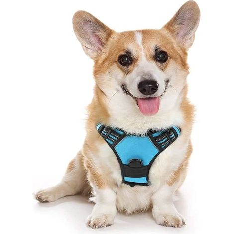 Harnais pour chien anti-traction avec 2 clips de laisse, harnais réglable rembourré doux pour animaux de compagnie (bleu, M) (1/4)