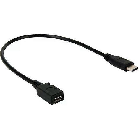 Adaptateur USB-C vers mini USB femelle - Câble de 29 cm, connecteur Type-C 3.0 (1/4)