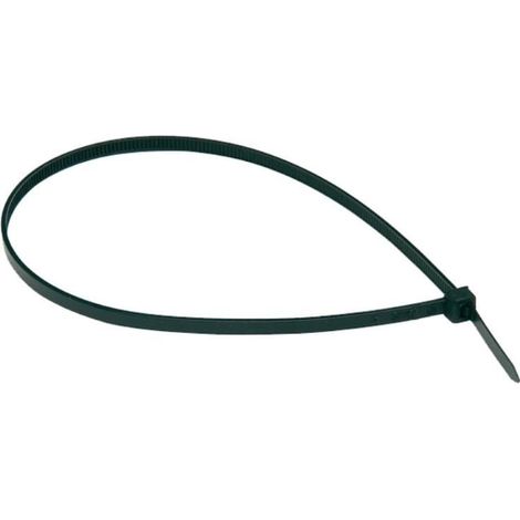 BNN - BRIDA NYLON (POLIAMIDA 6.6) NEGRO 12,5X0720 ( 50 u.)