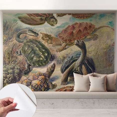 Selbsthaftend Tapete für Wohnzimmer Schlafzimmer Küche - Wanddekoration Schildkrötenfauna 208x146 cm (1/5)