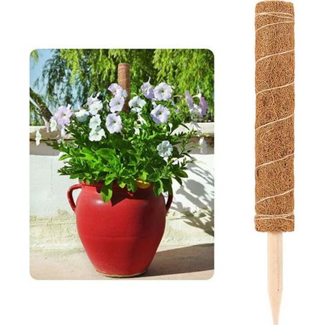 Tuteur en fibre de coco, support pour plantes en coque de noix de coco, base pointue robuste, totem en fibre de coco (1/5)