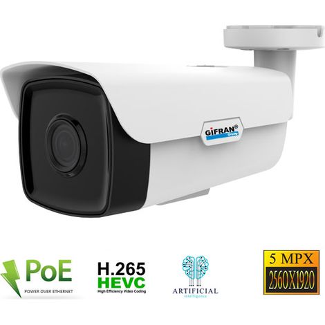 Telecamera IP PoE da esterno con intelligenza (1/2)