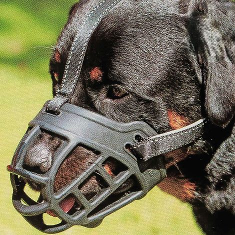 Muselière pour Chien, Panier Souple en Silicone pour Chien, idéal pour éviter Les morsures, mâcher et aboyer, Permet de Boire et d'haleter, utilisé avec Un Collier (1/5)