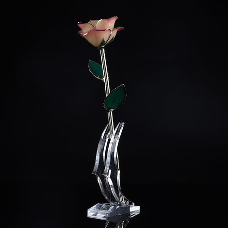 Poudre blanche dorée exclusive FBA Premium Rose Feuille Verte