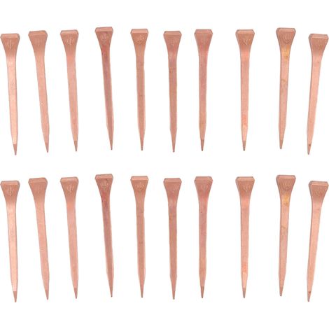 250 clous de ferrage en cuivre plaqué, avec boîte en plastique, pour l'élevage du bétail E5 51 mm/2,01 pouces (1/5)