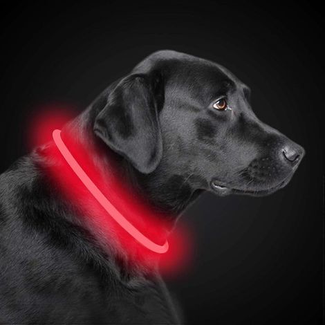 LED, Recargable por USB, Tanche, Largo Ajustable (Rouge)