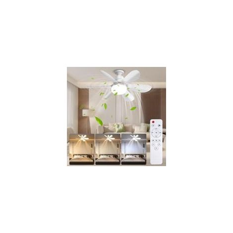 Ventilateur de Plafond avec Lumière et Telmmande, 52CM 40W Petit Dimmable Ventilateur Plafond LED avec Douille E27, 6 Pales,3 Vitesses,Timing (1/4)